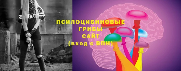 ГАЛЛЮЦИНОГЕННЫЕ ГРИБЫ Вязьма